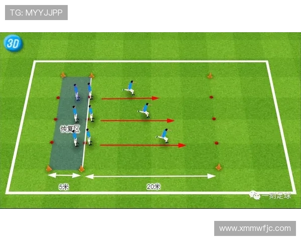 足球训练中的数据分析，如何通过统计提升个人与团队表现