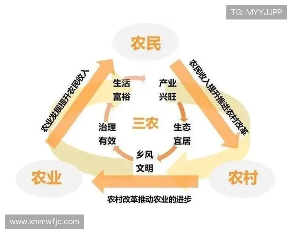 青少年足球人才筛选：多维素质模型构建与应用