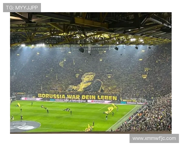 2017年德甲各支球队赛季分析与战术特点