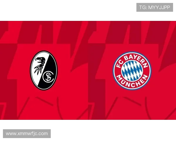 德甲各支球队高清封面图欣赏 德甲各支球队高清封面图欣赏