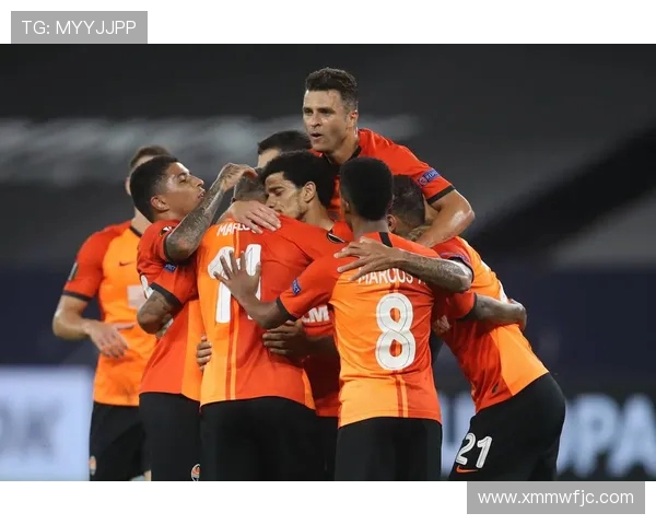 矿工球队与德甲球队的对比及竞技水平分析