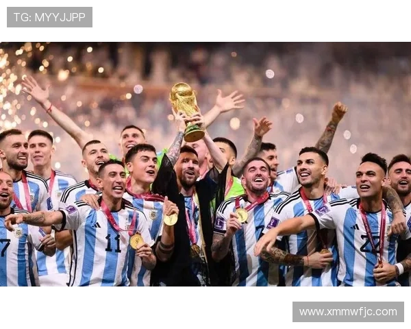 阿根廷2014世界杯十六强征程与荣耀记忆全景回顾传奇历程深度解析
